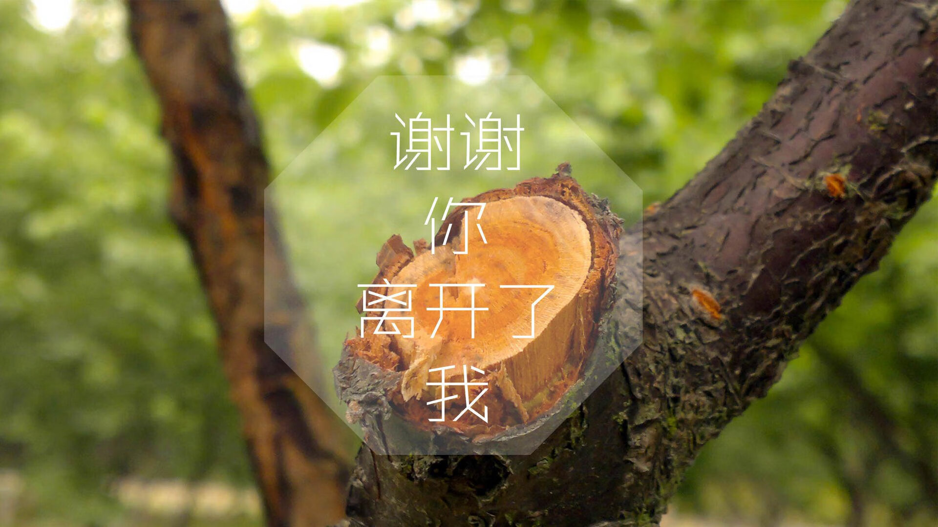 九游登录中心-绿城天才少年震惊联盟，豪取多项纪录，绿城青训