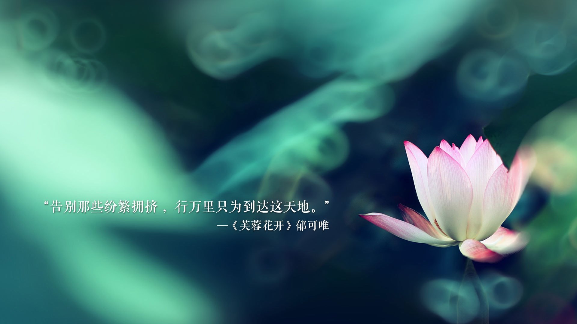 九游网游官网-终场“绝杀夜”，“冠军归属”瞬间点燃全场，终极绝杀