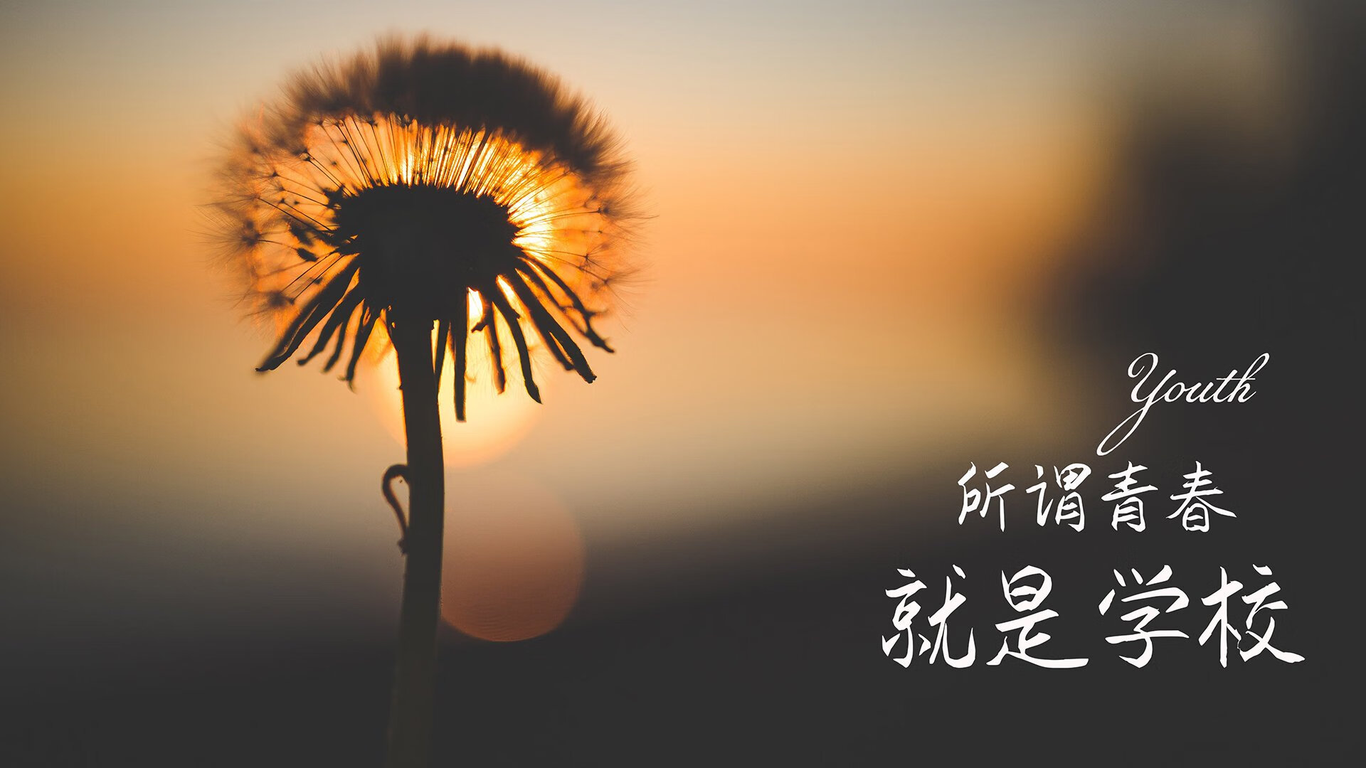 体育赛事对城市交通系统的适应性分析，体育赛事对城市经济的影响
