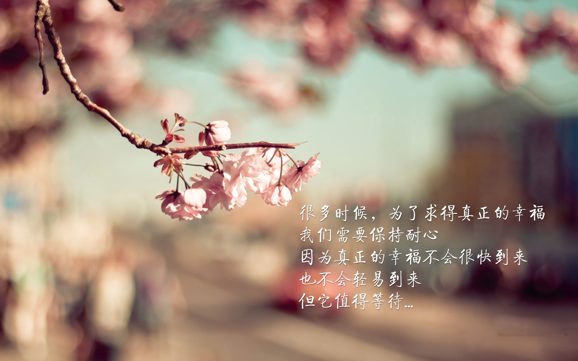 九游-体育新闻中心构建多渠道体育赛事内容分发体系，体育赛事报道怎样写
