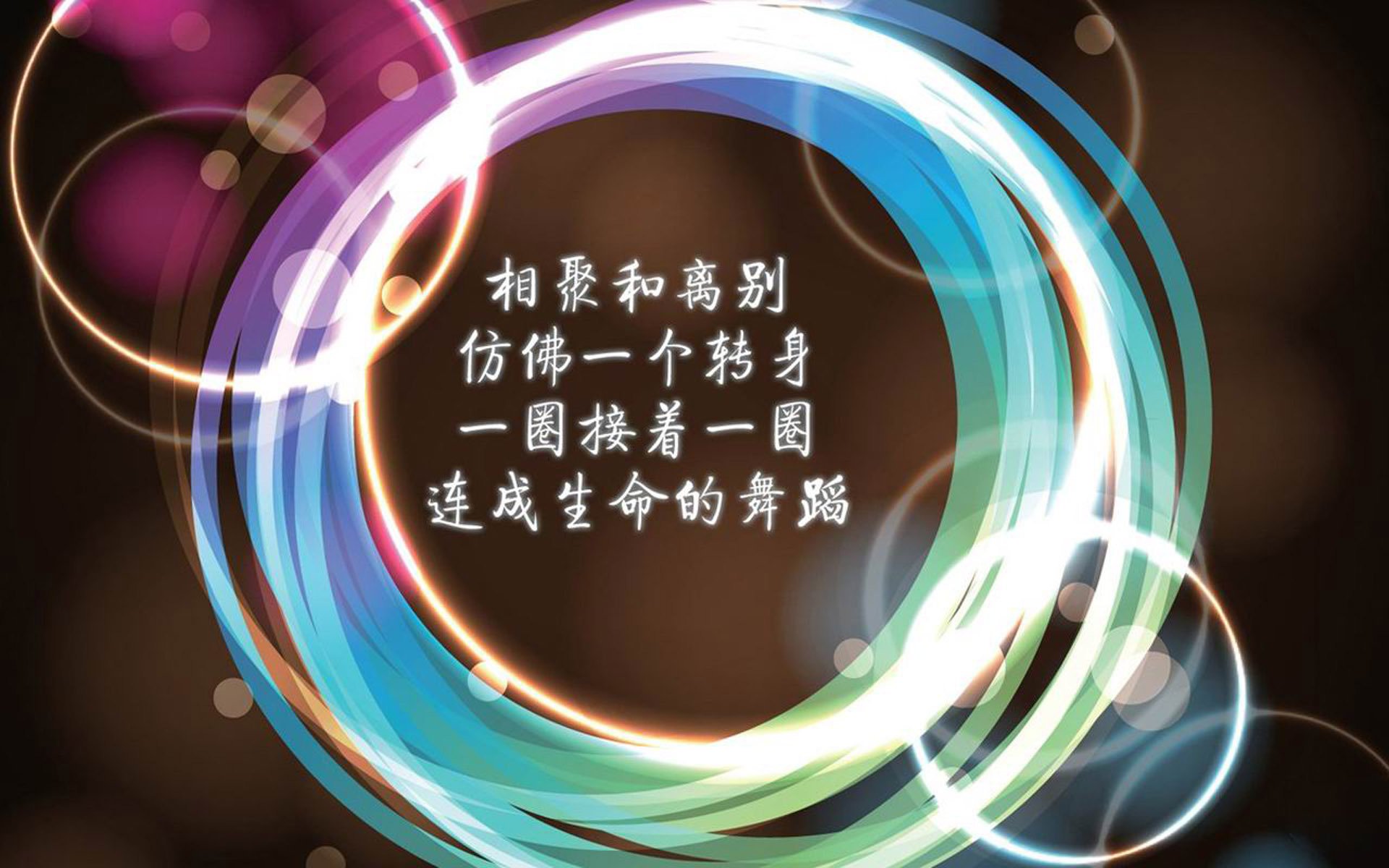 凯蒂·莱德基以绝对优势摘金,凯蒂·莱德茨基